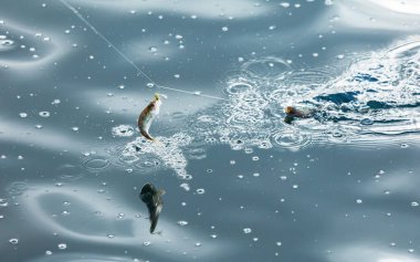 Sudan çıkarılırken balık tutarken yakalanmış.