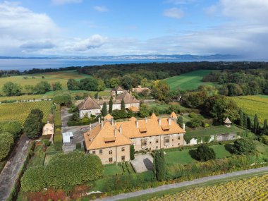 Thonon-les-bains 'deki Chateau de Ripaille Fransa insansız hava aracı fotoğrafı.
