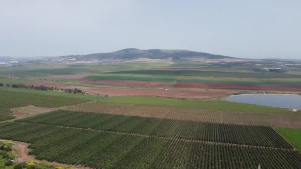 Fotografias Aéreas Drone Hagilboa Reserve Israel — Vídeo de Stock
