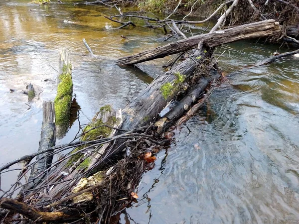 Vild Liten Flod Med Fallna Träd Och Massor Klippor Liten — Stockfoto