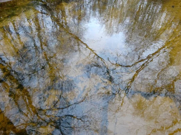 Vild Liten Flod Med Fallna Träd Och Massor Klippor Liten — Stockfoto