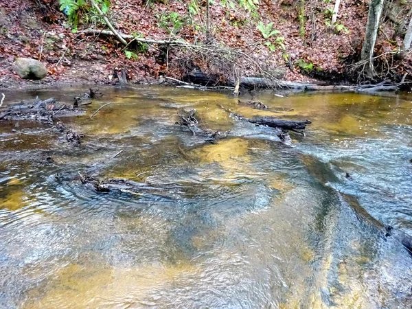 Pequeño Río Salvaje Con Árboles Caídos Muchas Rocas Pequeño Río — Foto de Stock