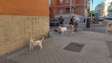 Madrid, İspanya - 14 Haziran 2022: Madrid 'in Barrio de la Concepcion ilçesi, İspanya' da konut ve insan yaşamı