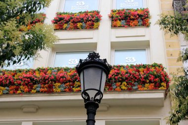 Madrid, İspanya - 15 Haziran 2022: Salvador Bachiller, Madrid 'in çiçek ve bitkilerle süslenmiş ev ve pencerelerinin manzarası