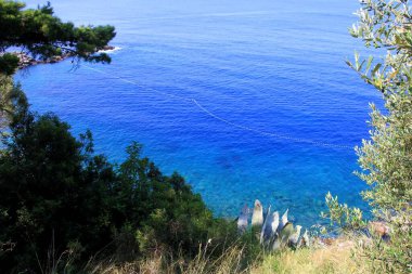 Önünde ağaç, agave, bitki ve taş bulunan Temiz Mavi Su Adriyatik Denizi kıyı şeridi, Hırvatistan 'ın Dubrovnik kenti