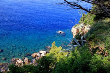 Önünde ağaç, agave, bitki ve taş bulunan Temiz Mavi Su Adriyatik Denizi kıyı şeridi, Hırvatistan 'ın Dubrovnik kenti