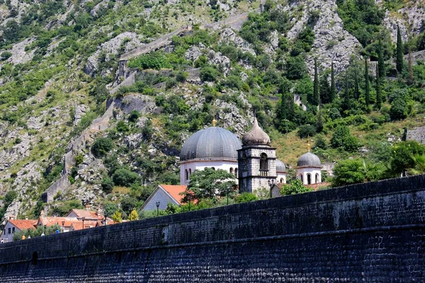 Turkoois Groene Wateren Buurt Van Oldstone Stadsmuur Van Kotor Montenegro — Stockfoto