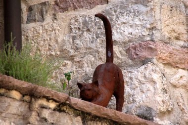 Eski kasabadaki ünlü Kotor kedileri. Kotor, Karadağ