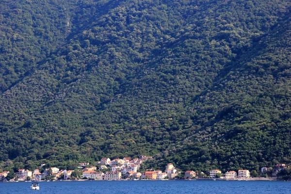 Perast Montenegro Giugno 2023 Perast City Scape Durante Estate Baia — Foto Stock
