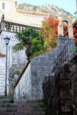 Perast - Karadağ, 20 Haziran 2023: Perast, Karadağ 'da şehir manzarası, sokak, evler, turistler ve tekneler.