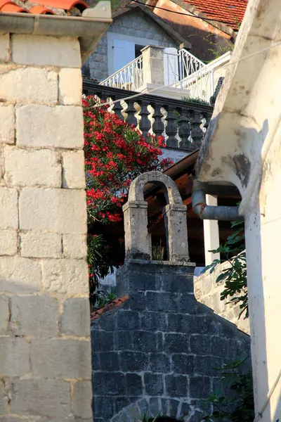 Perast Montenegro Junio 2023 Perast City Views Street Houses Tourists —  Fotos de Stock