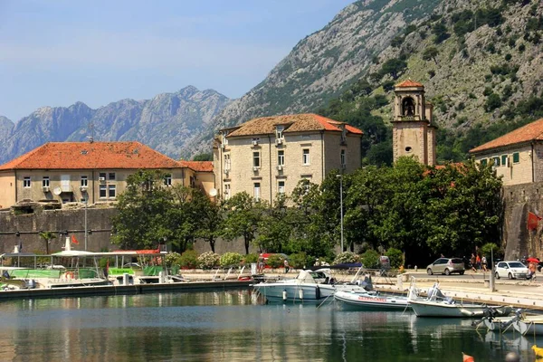 Kotor Montenegro Juni 2023 Kotor Herenhuizen Aan Kust Zomer — Stockfoto