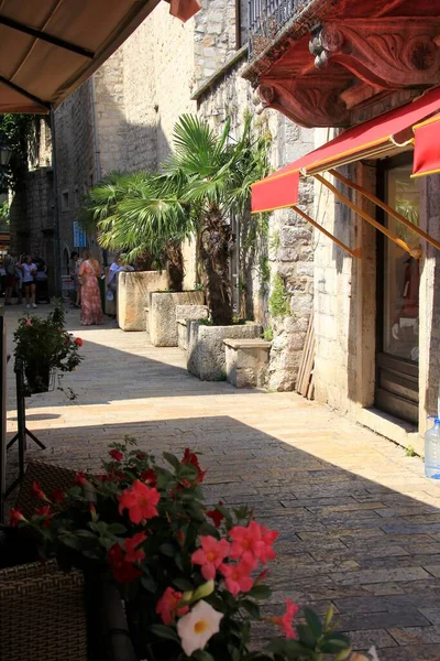 Kotor Karadağ Haziran 2023 Eski Kotor Kasabasındaki Turistler Eski Şehir — Stok fotoğraf