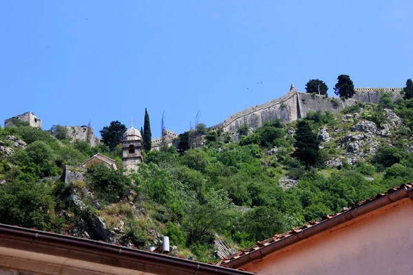 Kotor Montenegro Juni 2023 Mooie Oude Kotor Straatbeeld Oude Stad — Stockfoto