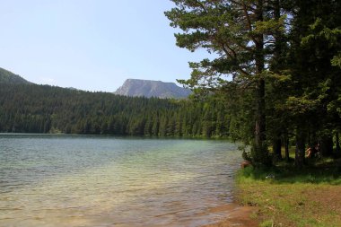 Kara Göl, Durmitor Ulusal Parkı güneşli yaz gününde, Zabljak, Karadağ