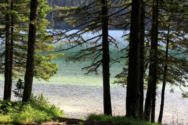 Kara Göl, Durmitor Ulusal Parkı güneşli yaz gününde, Zabljak, Karadağ