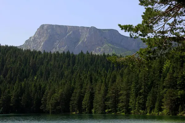 Schwarzer See Durmitor Nationalpark Sonnigen Sommertagen Zabljak Montenegro — Stockfoto