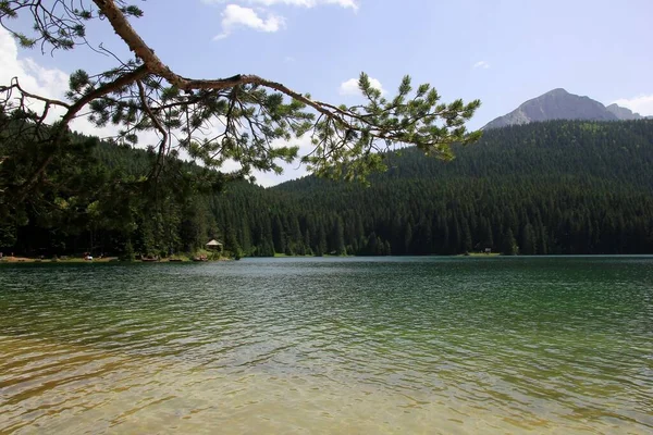 Black Lake Durmitor National Park Durante Dia Ensolarado Verão Zabljak — Fotografia de Stock