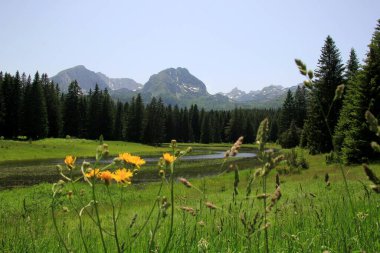 Yaz güneşli bir günde Durmitor Milli Parkı 'nın güzel manzarası