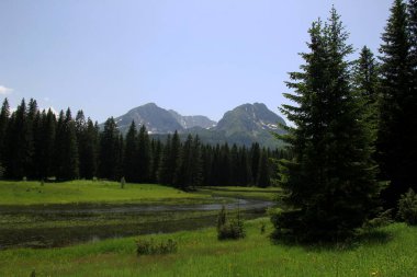 Yaz güneşli bir günde Durmitor Milli Parkı 'nın güzel manzarası