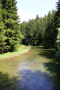 Yaz güneşli bir günde Durmitor Milli Parkı 'nın güzel manzarası