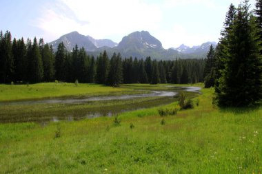 Yaz güneşli bir günde Durmitor Milli Parkı 'nın güzel manzarası