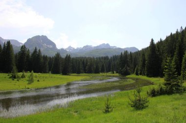 Yaz güneşli bir günde Durmitor Milli Parkı 'nın güzel manzarası