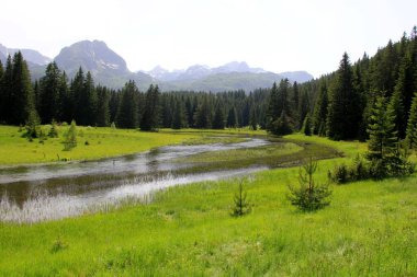 Yaz güneşli bir günde Durmitor Milli Parkı 'nın güzel manzarası