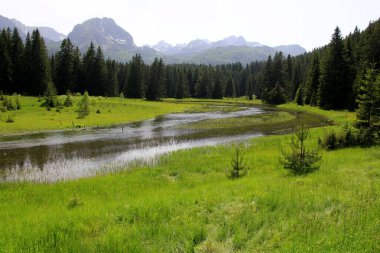 Yaz güneşli bir günde Durmitor Milli Parkı 'nın güzel manzarası