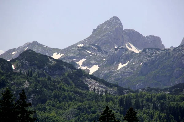 Yaz güneşli bir günde Durmitor Milli Parkı 'nın güzel manzarası