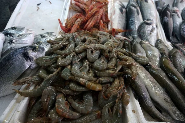 布德瓦绿色食品市场的海鲜店 黑山提供的粮食 — 图库照片