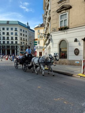 Viyana, Avusturya, 17.06.2003: Viyana, Viyana, Avusturya sokaklarında turist taşıyan eski at arabası