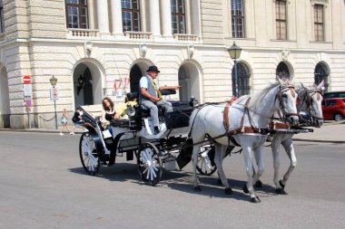 Viyana, Avusturya, 17.06.2003: Viyana, Viyana, Avusturya sokaklarında turist taşıyan eski at arabası
