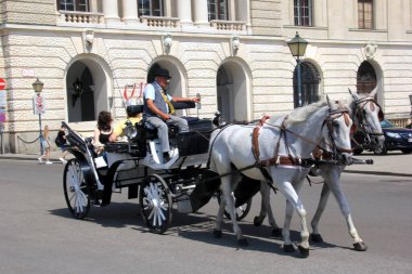 Viyana, Avusturya, 17.06.2003: Viyana, Viyana, Avusturya sokaklarında turist taşıyan eski at arabası