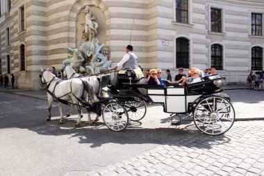 Viyana, Avusturya, 17.06.2003: Viyana, Viyana, Avusturya sokaklarında turist taşıyan eski at arabası