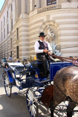 Viyana, Avusturya, 17.06.2003: Viyana, Viyana, Avusturya sokaklarında turist taşıyan eski at arabası