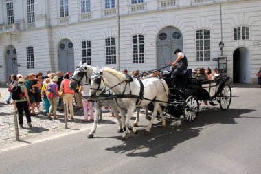 Viyana, Avusturya, 17.06.2003: Viyana, Viyana, Avusturya sokaklarında turist taşıyan eski at arabası