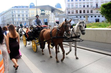 Viyana, Avusturya, 17.06.2003: Viyana, Viyana, Avusturya sokaklarında turist taşıyan eski at arabası