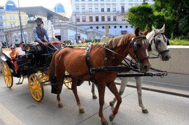 Viyana, Avusturya, 17.06.2003: Viyana, Viyana, Avusturya sokaklarında turist taşıyan eski at arabası