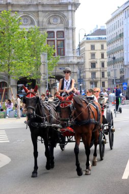 Viyana, Avusturya, 17.06.2003: Viyana, Viyana, Avusturya sokaklarında turist taşıyan eski at arabası