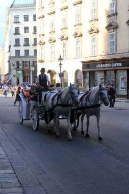 Viyana, Avusturya, 17.06.2003: Viyana, Viyana, Avusturya sokaklarında turist taşıyan eski at arabası