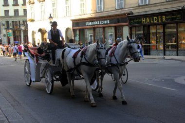 Viyana, Avusturya, 17.06.2003: Viyana, Viyana, Avusturya sokaklarında turist taşıyan eski at arabası