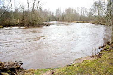 Nehir boyunca uzanan ağaçlarla