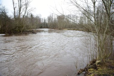 Nehir boyunca uzanan ağaçlarla