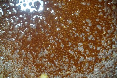 Balmumu hücreli baloncuklu bal dokusu. Bal işleme