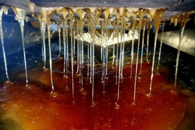       Tatlı bal damlaları, bal liköründe nektar. Hücrelerden bal çıkarmak. Arıların bal peteklerinden bal damlat. bal işleme illüstrasyonu                         