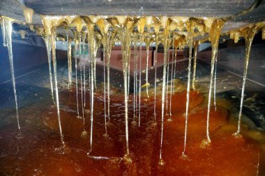       Tatlı bal damlaları, bal liköründe nektar. Hücrelerden bal çıkarmak. Arıların bal peteklerinden bal damlat. bal işleme illüstrasyonu                         