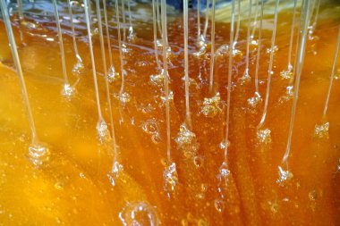       Tatlı bal damlaları, bal liköründe nektar. Hücrelerden bal çıkarmak. Arıların bal peteklerinden bal damlat. bal işleme illüstrasyonu                         