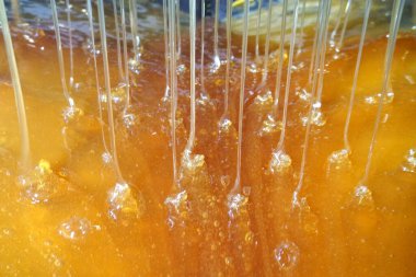       Tatlı bal damlaları, bal liköründe nektar. Hücrelerden bal çıkarmak. Arıların bal peteklerinden bal damlat. bal işleme illüstrasyonu                         