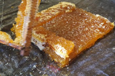       Bal hücreleri kumaş üzerinde, baskıya hazır. Kumaştan mekanik bal presi. Bal işleme                         